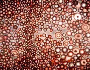 Ross Bleckner from the USA.: O Room, 2001 (entoptic art with oil on linen). 